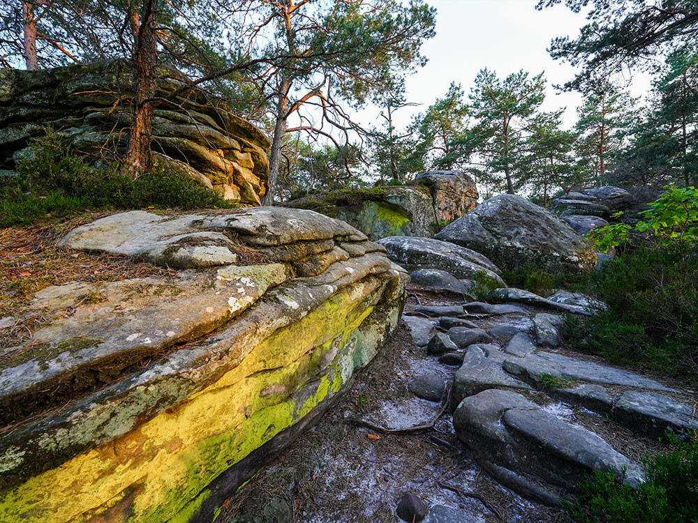 Rotsen in Fontainebleau