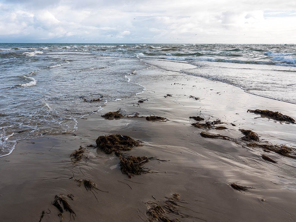 Skagen