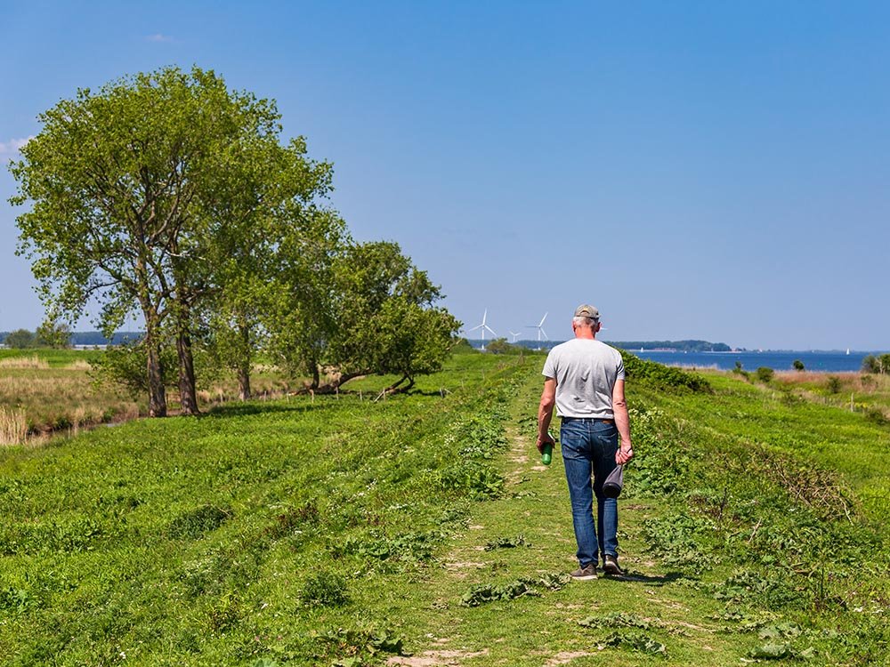 Wandelen in Zuid-Holland