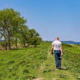 Afbeelding voor Wandelen in Zuid-Holland