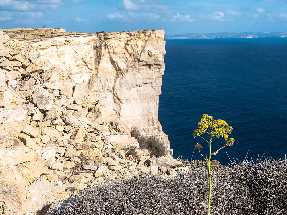 Gozo kliffen