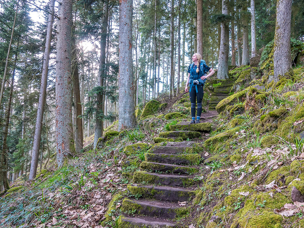 Wandelen Zwarte Woud