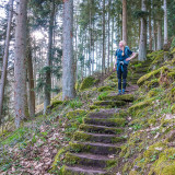 Afbeelding voor Wandelen in het Zwarte Woud