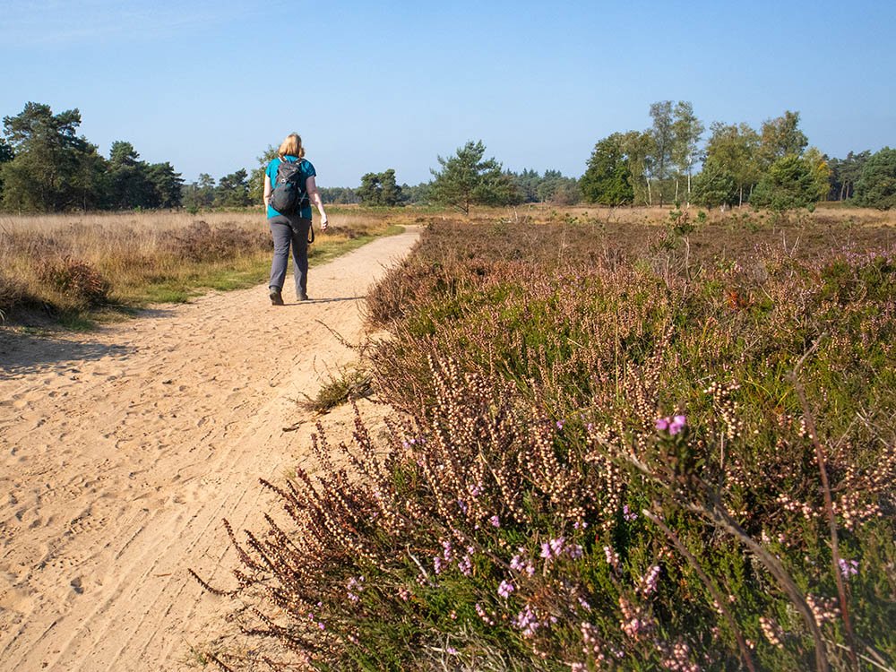 Heide Kampina