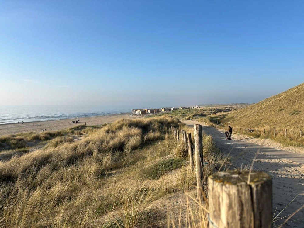 Uitzicht op Landal Zeezigt