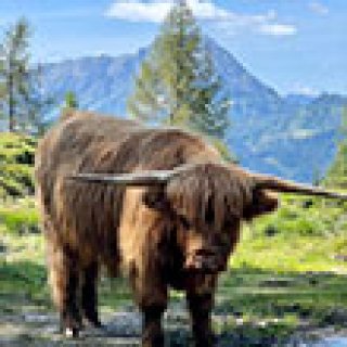 Afbeelding voor Bookatrekking - Wandelreis Salzburger Sportwelt