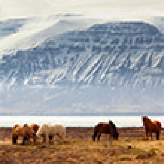 Afbeelding voor Loopend Vuurtje - Wandelreis IJsland