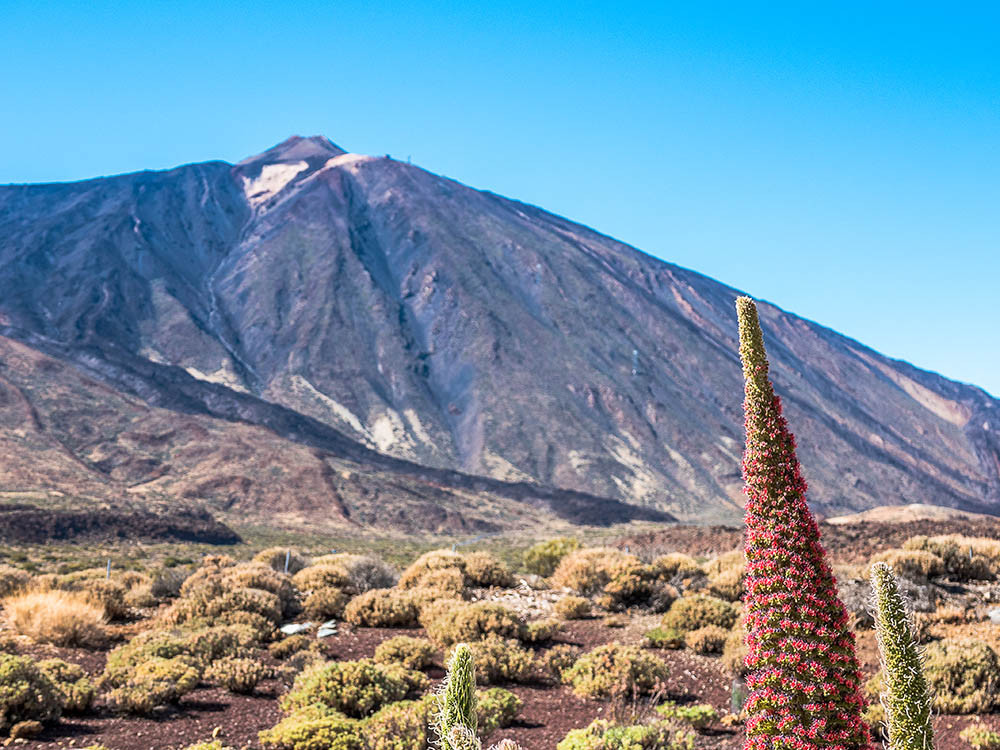 Natuur Tenerife - El Teide