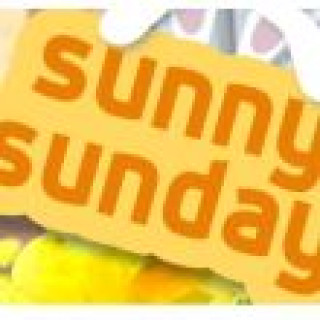 Afbeelding voor Voigt Travel - Sunny Sunday Deals