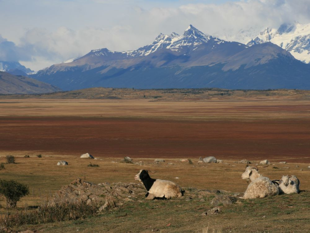 Patagonië