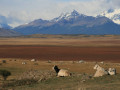 Patagonië