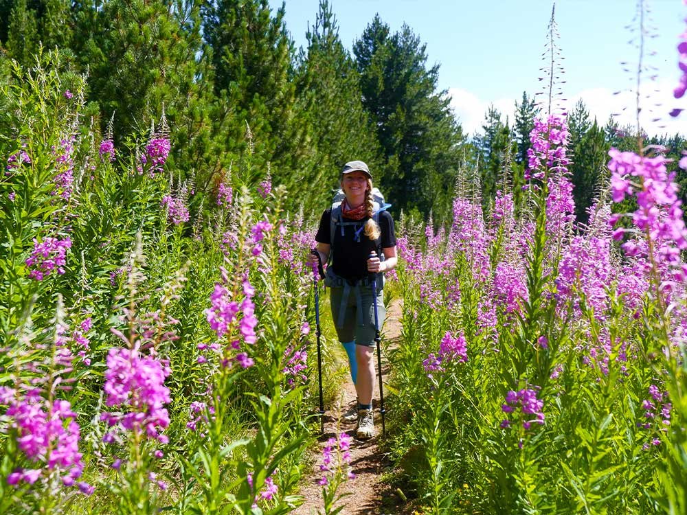 Wandelen in de natuur