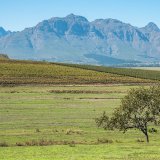 Afbeelding voor Stellenbosch