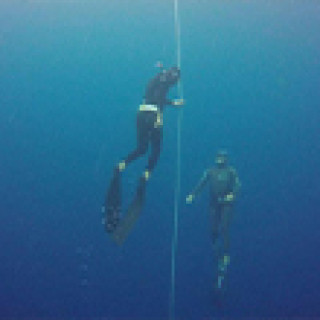 Afbeelding voor Manawa - Freediving cursus