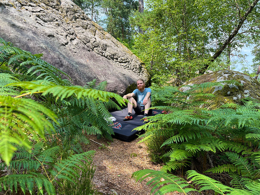 Fôret de Fontainebleau