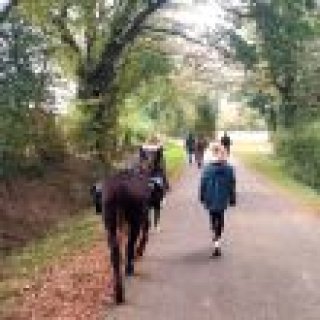 Afbeelding voor Ânes de Menou - Ezelwandeling