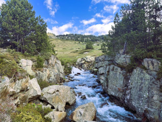 Afbeelding voor Pyrénées-Orientales