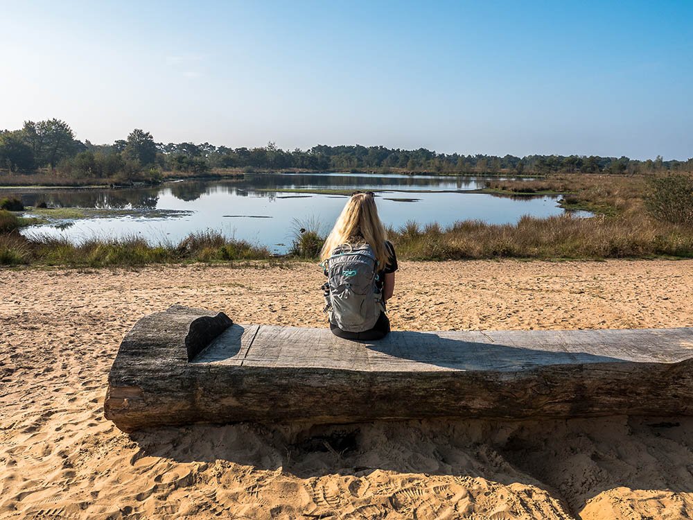 Natuurgebied de Kampina