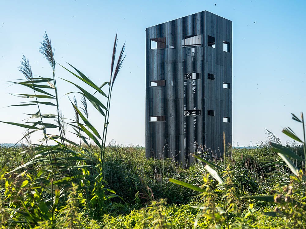 Uitkijktoren de Roerdomp