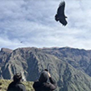 Afbeelding voor Travel Happiness Company - Familiereis Peru