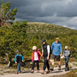 Afbeelding voor Nordic - Avontuurlijke week in Midden-Zweden