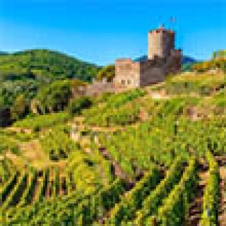 Afbeelding voor Bookatrekking - Wandelreis Elzas