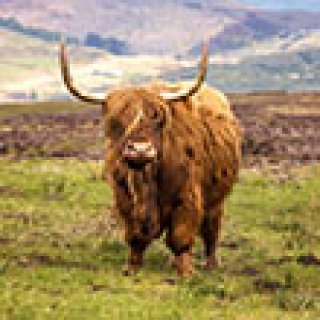 Afbeelding voor Riksja Travel - Rondreizen Schotland