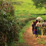 Afbeelding voor Malawi