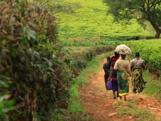 Afbeelding voor Malawi