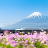 Afbeelding voor wAARDEvol reizen in Japan