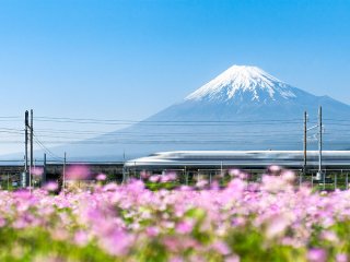 Afbeelding voor wAARDEvol reizen in Japan