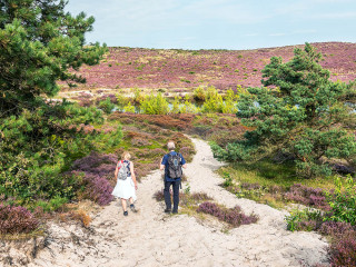 Afbeelding voor Wandelen in Noord-Holland