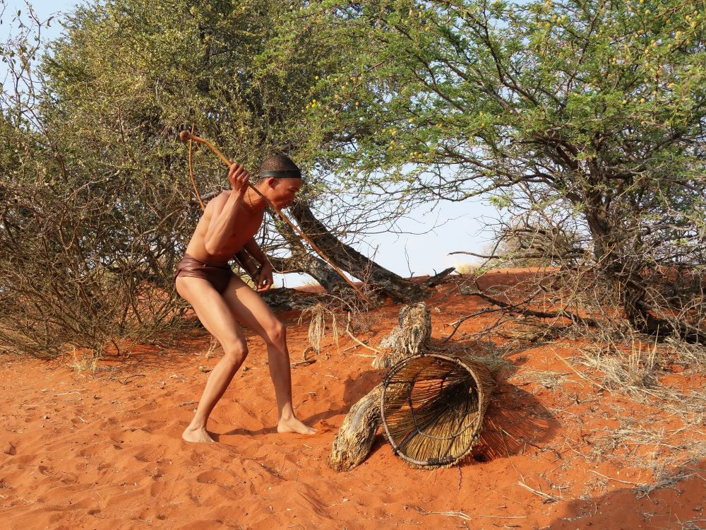 Kalahari woestijn Namibië