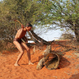 Afbeelding voor Woestijn in Namibië