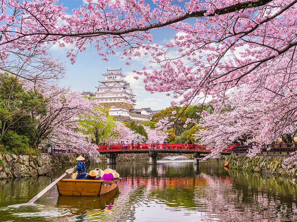 Bloesem in Japan