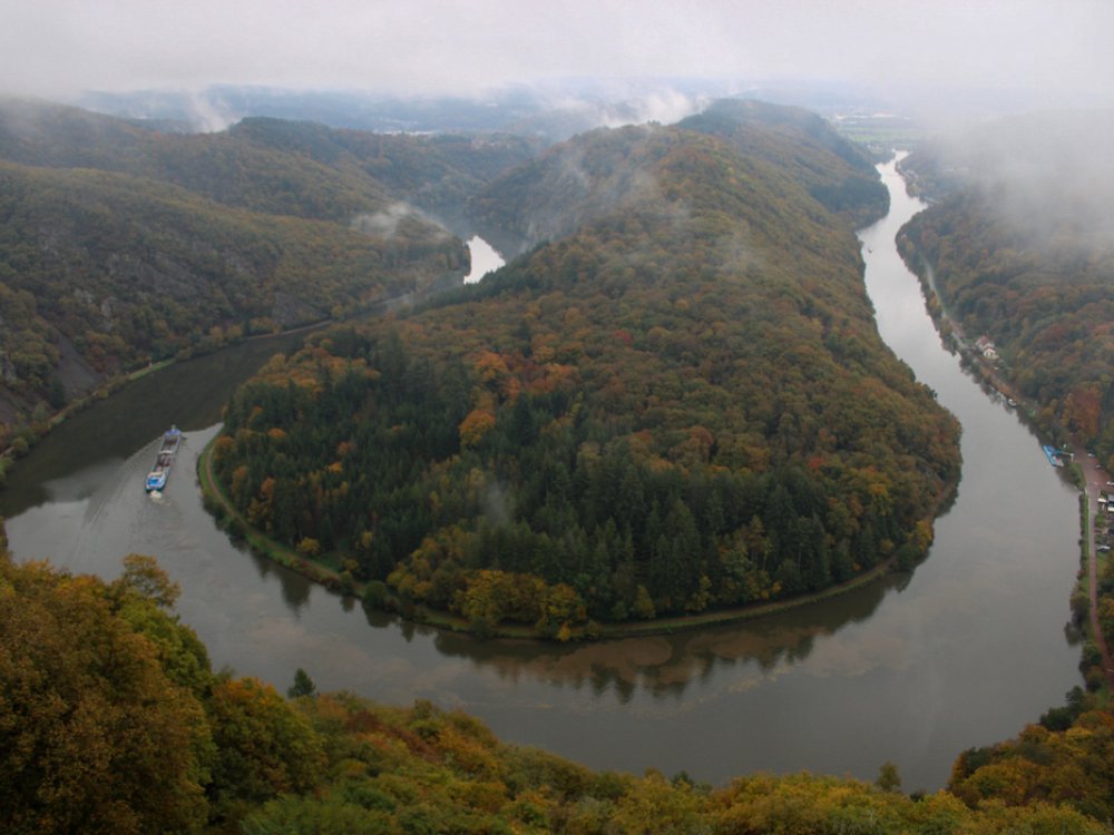Uitzicht vanaf het Boomkroonpad