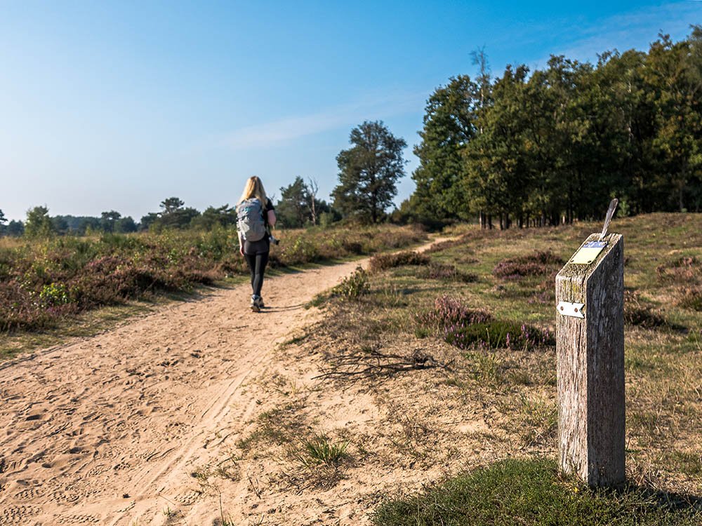 Wandelen in de Kampina