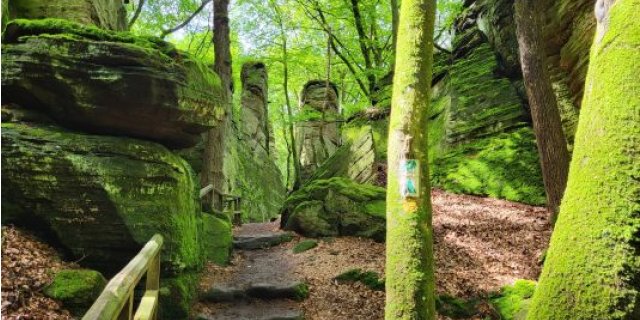 Afbeelding voor Travelbase - The Mullerthal Trail