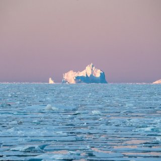 Afbeelding voor Wildlife op Spitsbergen