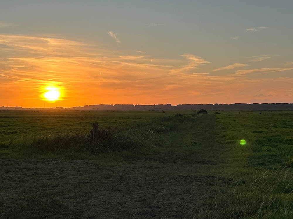 Polder Arkemheen