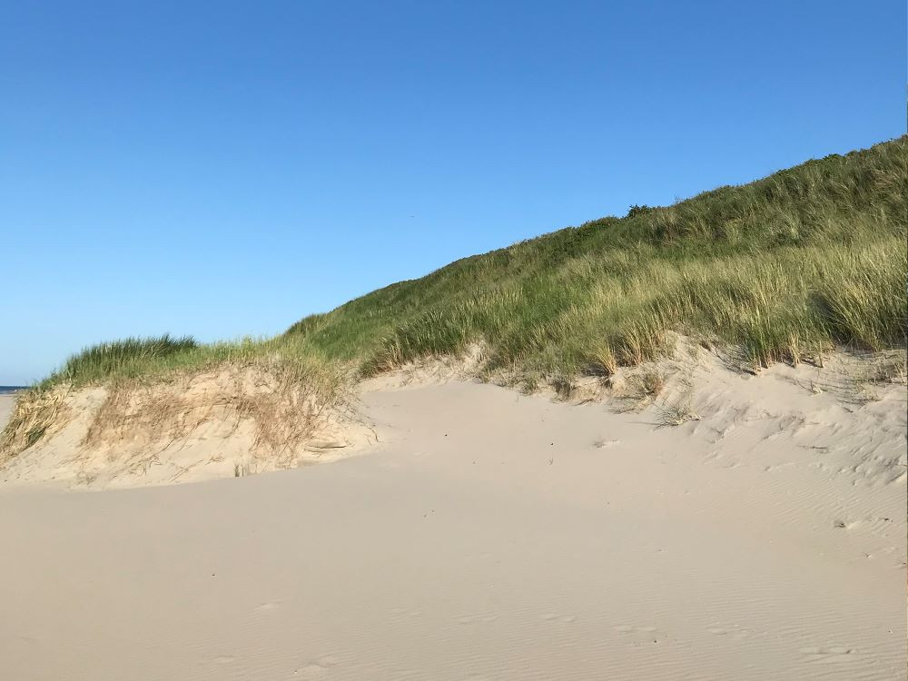 Duinen van Vlieland