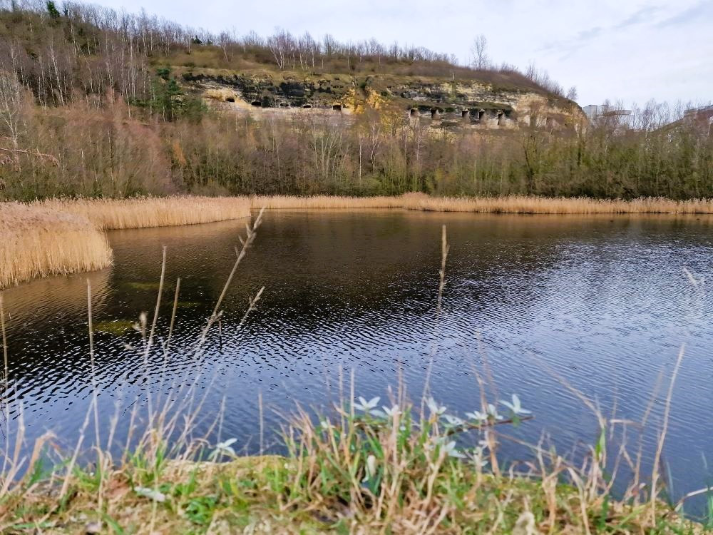 Rietkragen en grotten