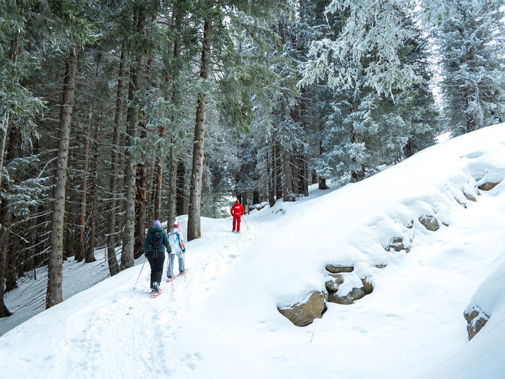 Sneeuwschoenwandelen