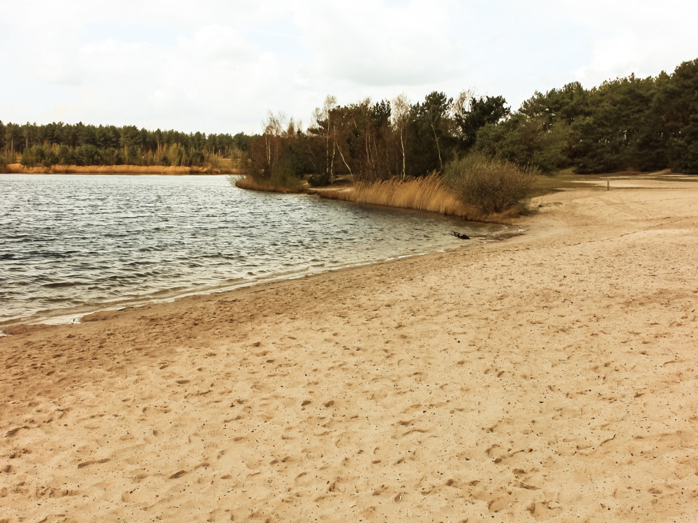 Natuur in de omgeving