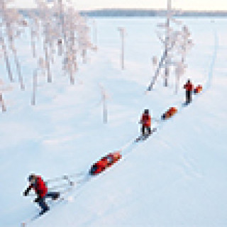 Afbeelding voor The King's Trail - Wintertrail Zweeds Lapland