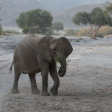 Afbeelding voor Hoanib en Skeleton Coast