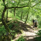 Afbeelding voor Wandelen in de Franse Ardennen