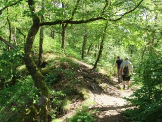 Afbeelding voor Wandelen in de Franse Ardennen