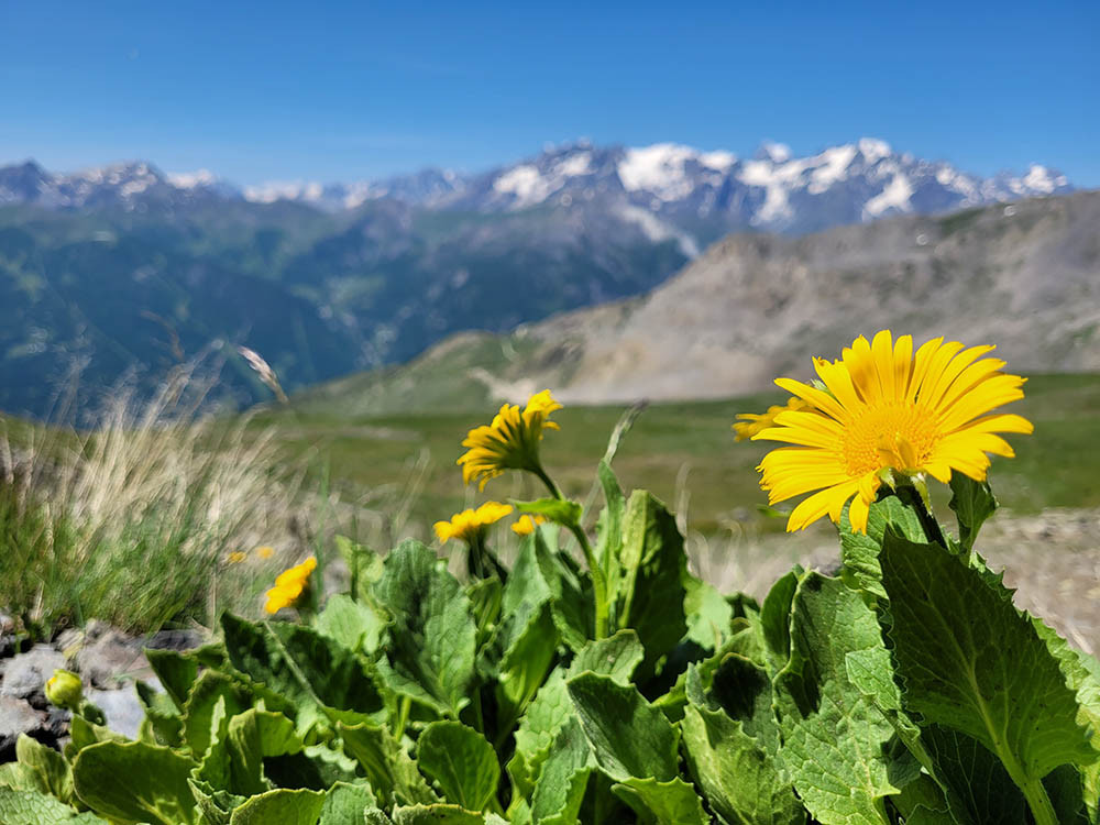 Wandelroutes Serre Chevalier