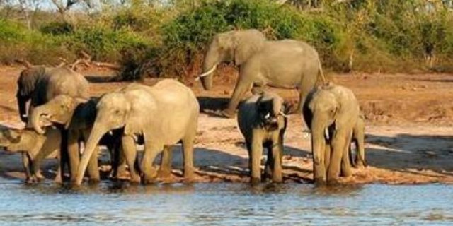 Afbeelding voor Local Hero Travel - Namibië